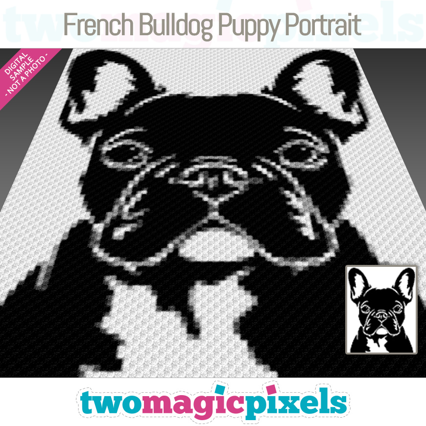 French Bulldog Puppy Portrait by Two Magic Pixels