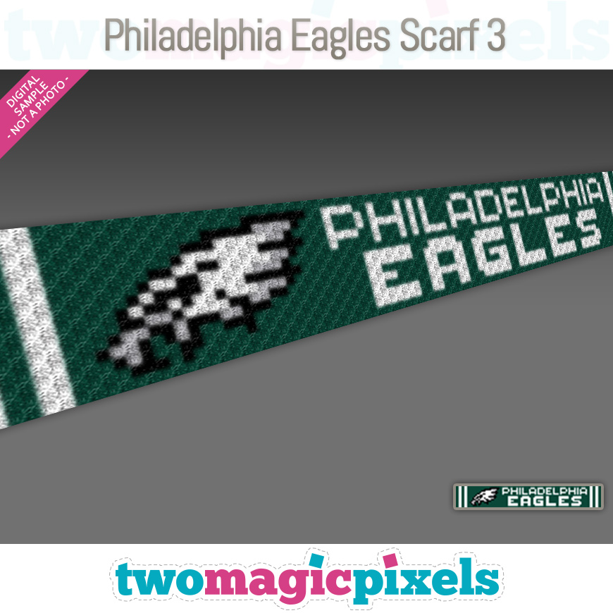 Philadelphia Eagles Scarf 3 by Two Magic Pixels