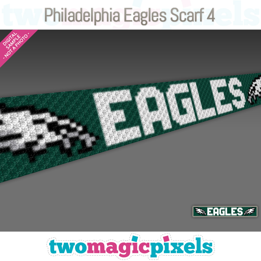 Philadelphia Eagles Scarf 4 by Two Magic Pixels